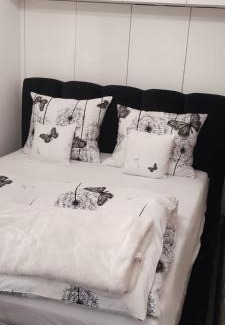 Pszczyna Apartamento | Apartament Warowna Pszczyna centrum