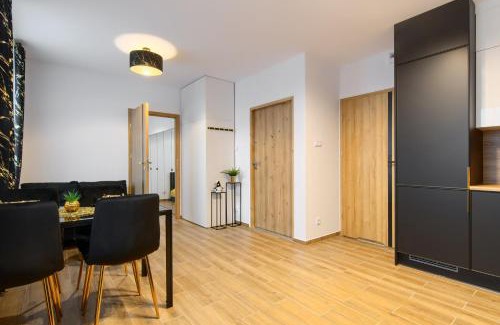 Gorzow Wielkopolski Apartamento | Apartament Wiedeńska 15A PARKING bezpłatny Faktura VAT K-S SSE