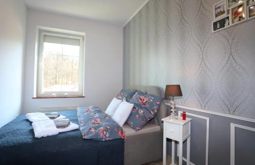 Szczawno-Zdroj Apartamento | Apartament Winston