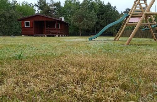 Powidz Apartamento | Apartament Wylatkowo - Powidz