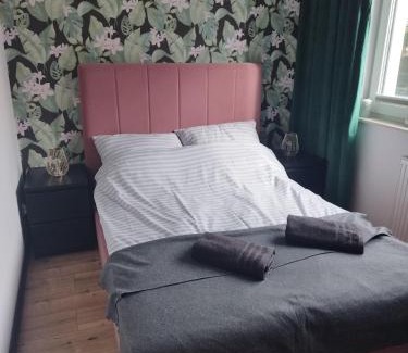 Rumia Apartamento | Apartament z ogrodem Camelia