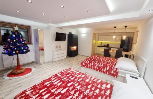Frydman Apartamento | APARTAMENT Z POMOSTEM nad Jeziorem Czorsztyńskim