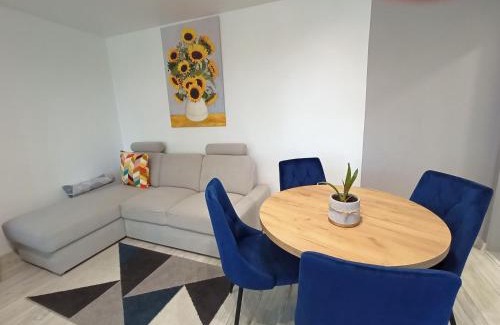 Zabrze Apartamento | Apartament Zabrze Grzybowska