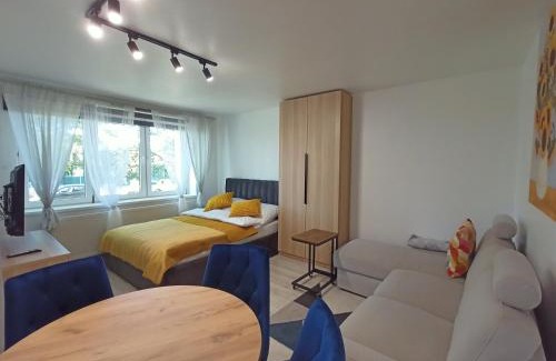 Zabrze Apartamento | Apartament Zabrze Grzybowska