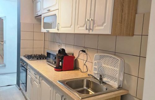 Zarnesti Apartamento | Apartament Zarnesti VMP Free Parking