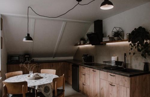 Muszyna Apartamento | Apartament Zdrojowy