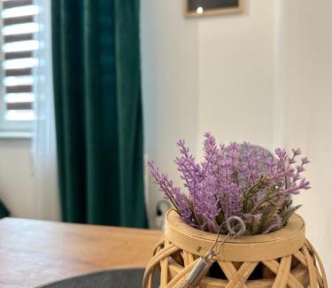Tomaszow Mazowiecki Apartamento | Apartament Zielony Kołłątaja