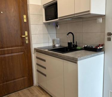 Tomaszow Mazowiecki Apartamento | Apartament Zielony Kołłątaja
