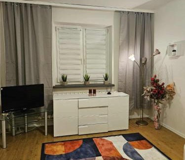 Dabrowa Gornicza Apartamento | Apartament Zielony Zakątek