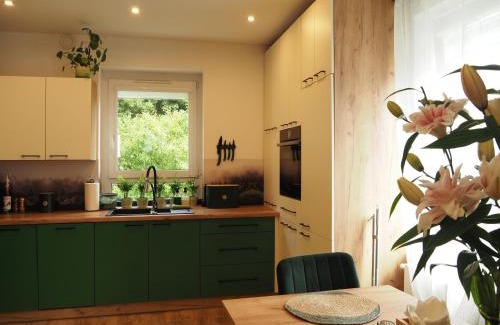 Jedlina-Zdroj Apartamento | Apartament ZIELONO MI 2