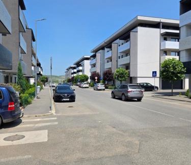 Sinnicoara Apartamento | Apartament zona aeroport