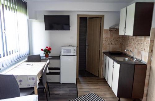Praid Apartamento | Apartamente Ambrus Praid