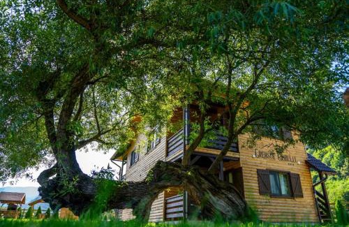 Zarnesti Cabina | Apartamente Creasta Craiului