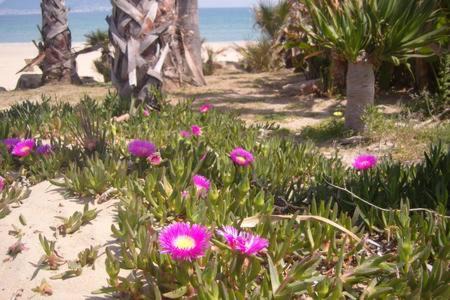 Cabrita Apartamento | Apartamento a la Playa