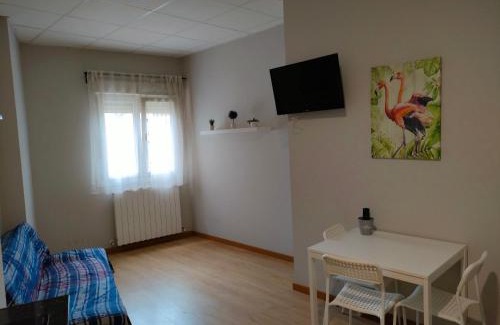 Bolueta Apartamento | Apartamento Acogedor