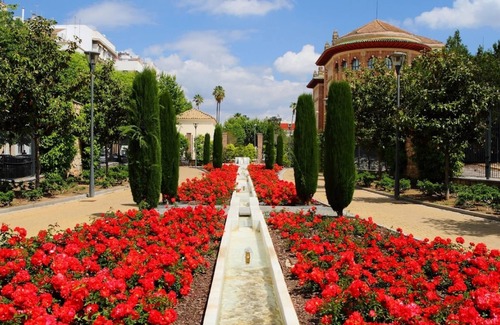 Ciudad Jardin Apartamento | Apartamento Altar del Cielo
