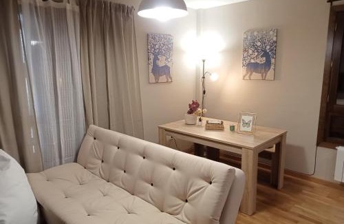 Villanua Apartamento | Apartamento CIR