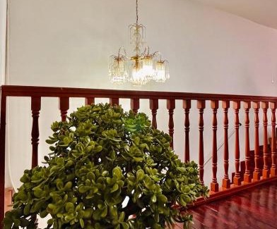 La Estrella Apartamento | Apartamento Colonial
