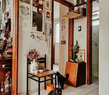 Santa Efigenia Apartamento | Apartamento da bruxa verde