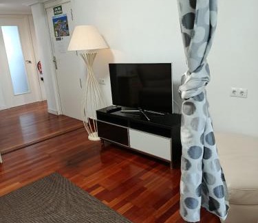 Zumaia Apartamento | APARTAMENTO DANAE centro ESS00359