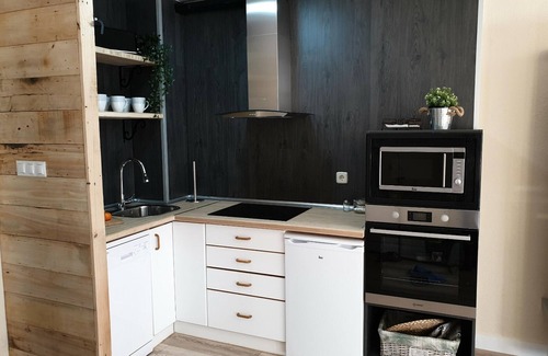 Candanchu Apartamento | APARTAMENTO EL SARRIO