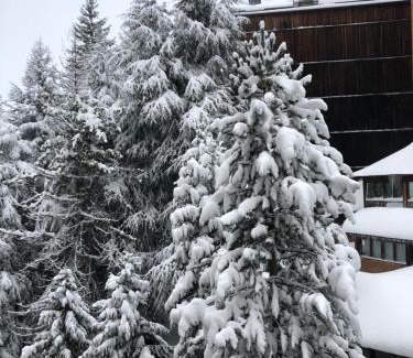 Baqueira Apartamento | Apartamento en Baqueira a 100 metros de la telecabina