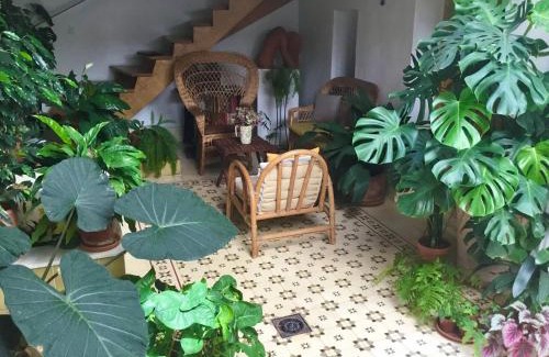 La Catedral Apartamento | Apartamento en Casa Patio "Pan y Conejo"