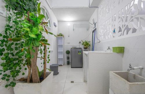 Manga Apartamento | Apartamento en Casa Dandy