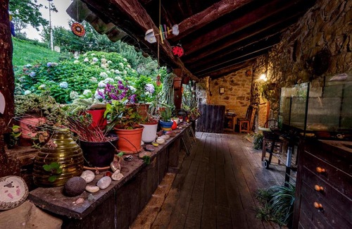 Riotuerto Apartamento | Apartamento en Plena Naturaleza
