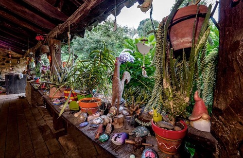 Riotuerto Apartamento | Apartamento en Plena Naturaleza