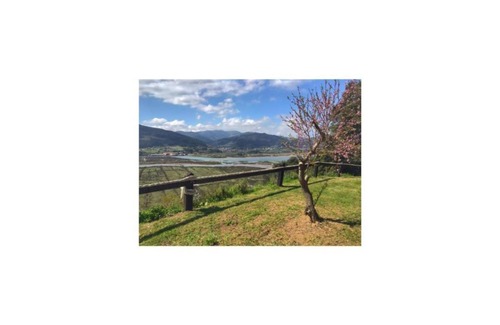 Gautegiz Arteaga Apartamento | OZAMIZ Urdaiba - Apartamento Sabai