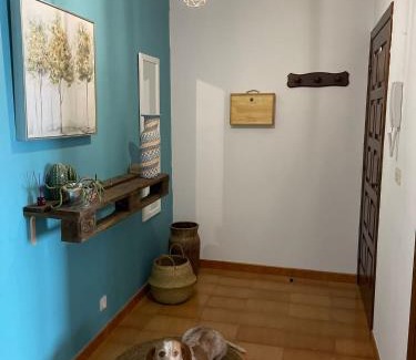 Fisterra Apartamento | Apartamento Fin da terra