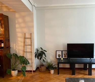 Lugo Apartamento | Apartamento frente a la Catedral