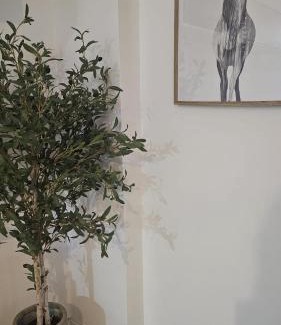La Catedral Apartamento | Apartamento Menina Santa Ana