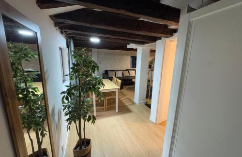 Centro Apartamento | Apartamento para grupos y familias, SOL