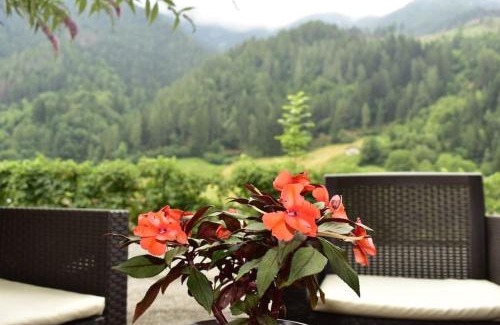 San Colombano Apartamento | Apartamento Pino Verde in San Colombano VT Vista, Natura, Wifi
