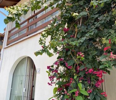 Florianopolis Apartamento | Apartamento Praia Brava Florianópolis condomínio