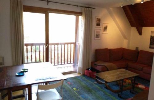 Formigal Apartamento | Apartamento Saliecho 3