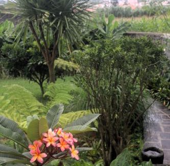 Ponta Delgada Apartamento | Apartamento tranquilo e acolhedor