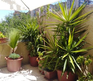 Parque del Principe Apartamento | Apartamento Turístico Príncipe Cáceres AT-CC-00415