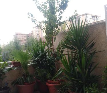 Parque del Principe Apartamento | Apartamento Turístico Príncipe Cáceres AT-CC-00415