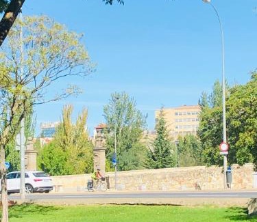 Arrabal Apartamento | Apartamento Turistico Puente Romano P4 bajo C