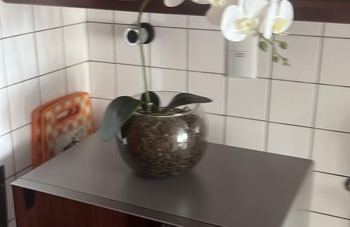 Vitoria Apartamento | Apartamento Vista Mar Salvador Bahia - Praia Privativa