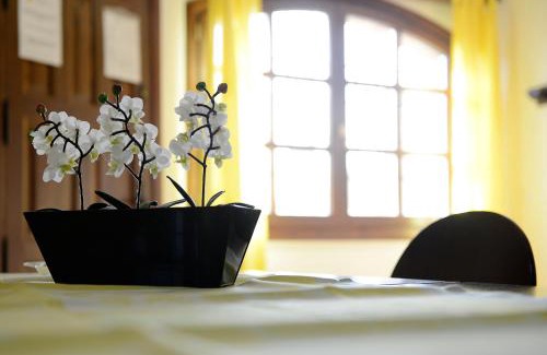 Alquezar Apartamento | Apartamentos Bellavista