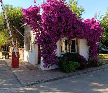 El Palmar Otro | Apartamentos Camping El Palmar