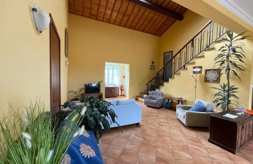 Ribeira Grande Apartamento | Apartamentos em Casa da Avó Inês