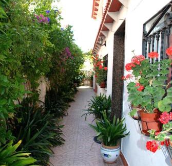 Grau i Platja Apartamento | Apartamentos Inter Gandia Playa