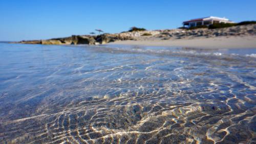 Formentera Apartamento | Apartamentos La Fragata
