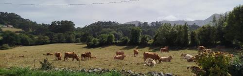 Llamigo Apartamento | Apartamentos Rurales Inguanzo