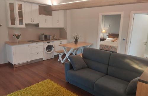 Guntin Apartamento | Apartamentos San Román